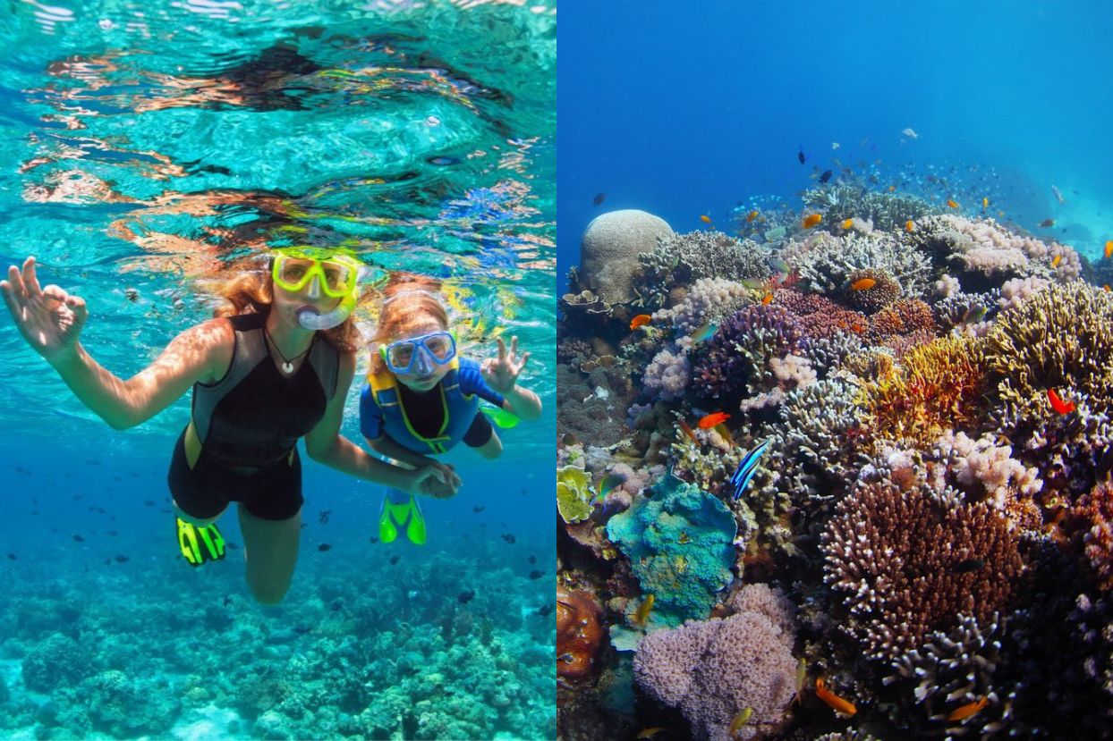 Snorkeling in Boracay and Balicasag Island