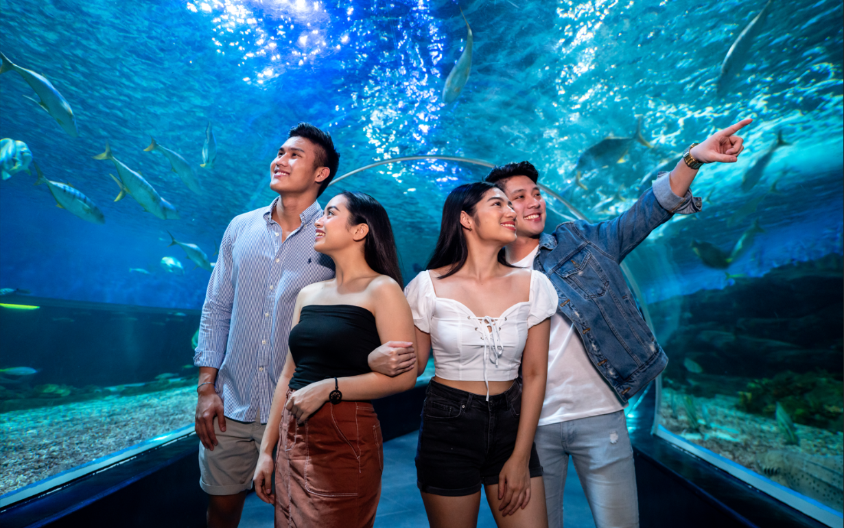 Oceanarium Tunnel in Manila Ocean Park