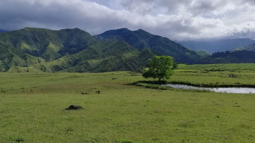 Communal Ranch Communal Ranch