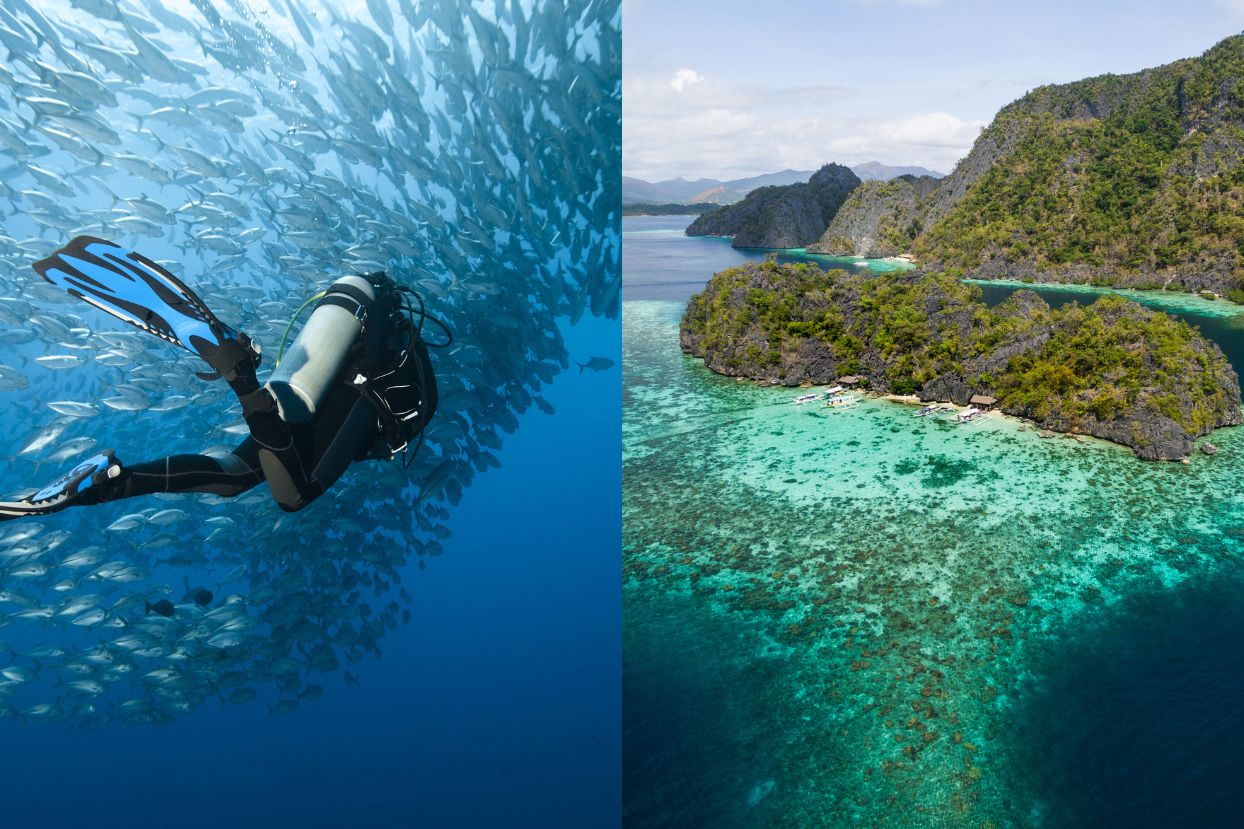 Balicasag Island and Boracay's Coral Garden