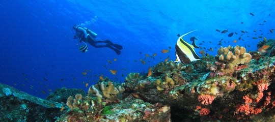TopBanner_Scuba diving philippines.jpg