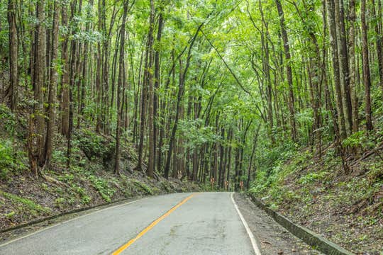 Amazing 8-Day Bohol & Siquijor Islands with Dumaguete City Nature & Beaches Tour Package from Manila