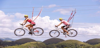 Chocolate Hills Adventure Park