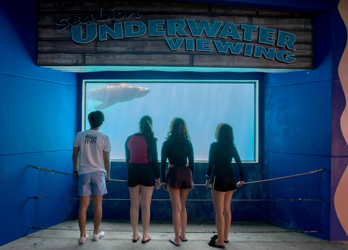 Day Pass to Ocean Adventure Marine Park in Subic Bay | Guide to the ...