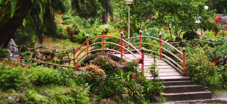 1-Week Highlands & Cultural Tour Package to Baguio City, Sagada Town & Benguet Province from Manila