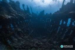 Skeleton Wreck, Coron