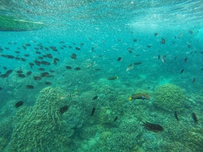 Private Tour to Papaya Island Cove in Batangas Province from Manila City with Lunch