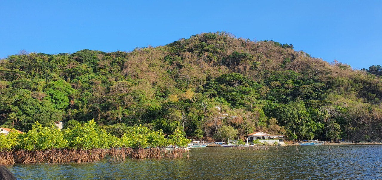 Lush green hills and calm waters frame a hidden beach, showcasing a stop on this private tour to Papaya Island Cove in Batangas Province.