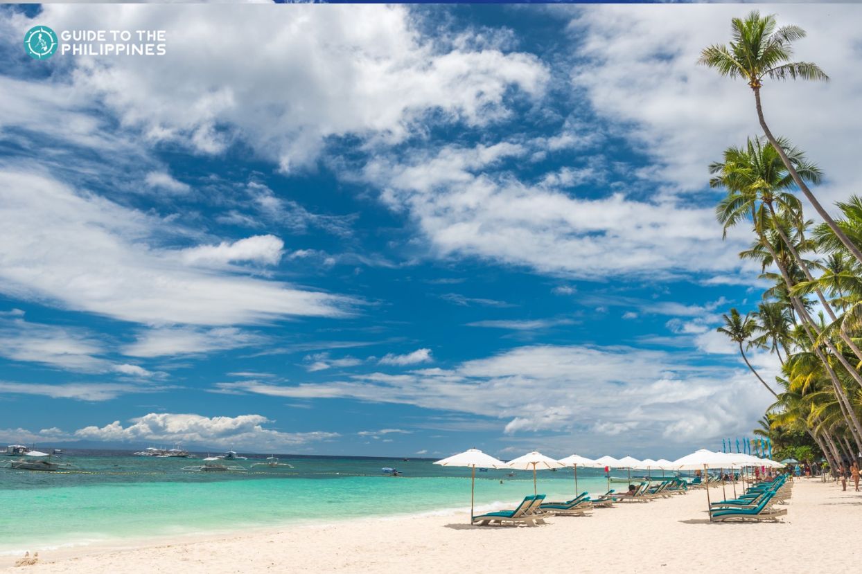 Bohol's Chocolate Hills