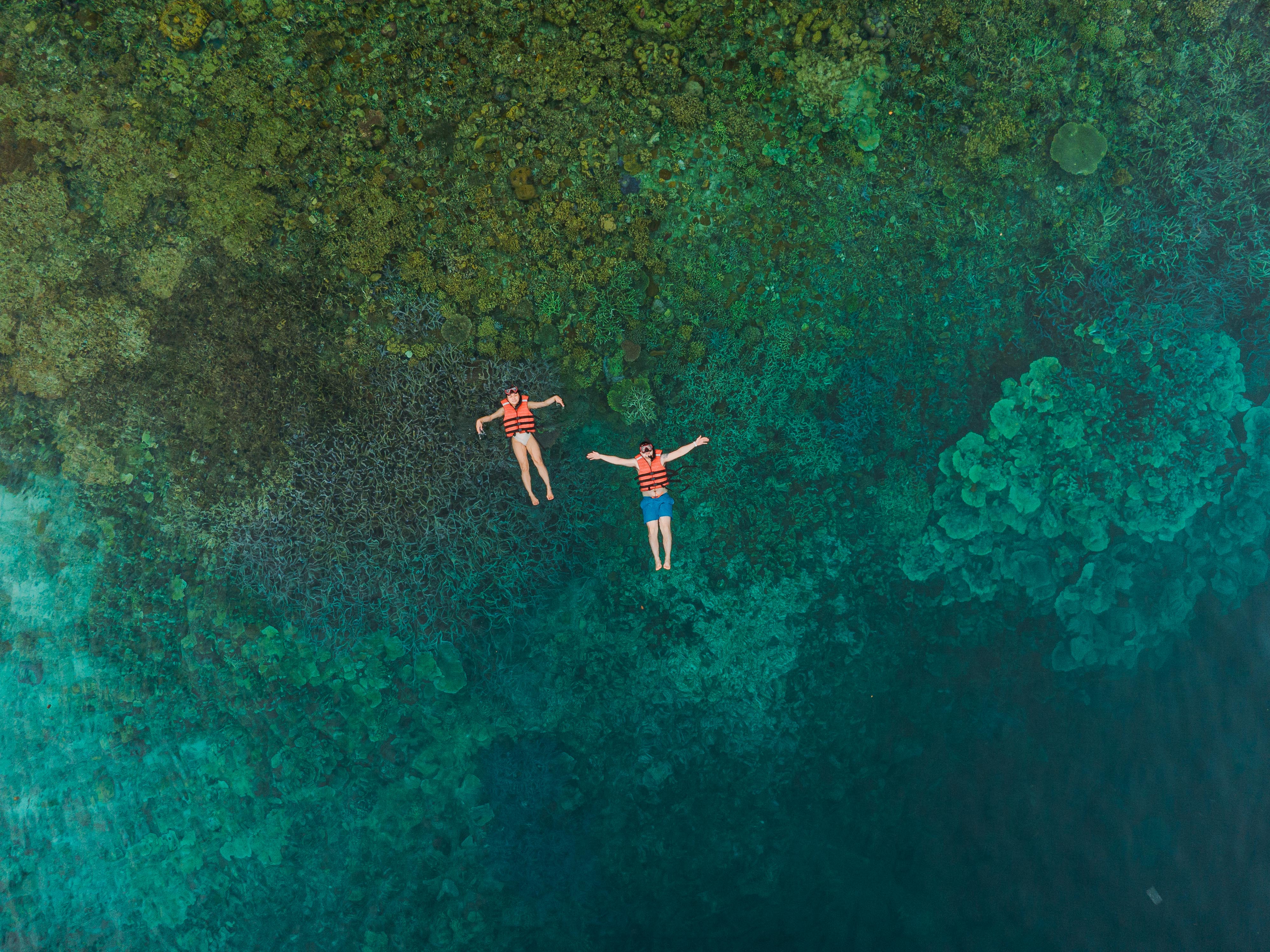 Tourists enjoying a refreshing swim in the clear waters of Coron town during this private speedboat island tour with lunch
