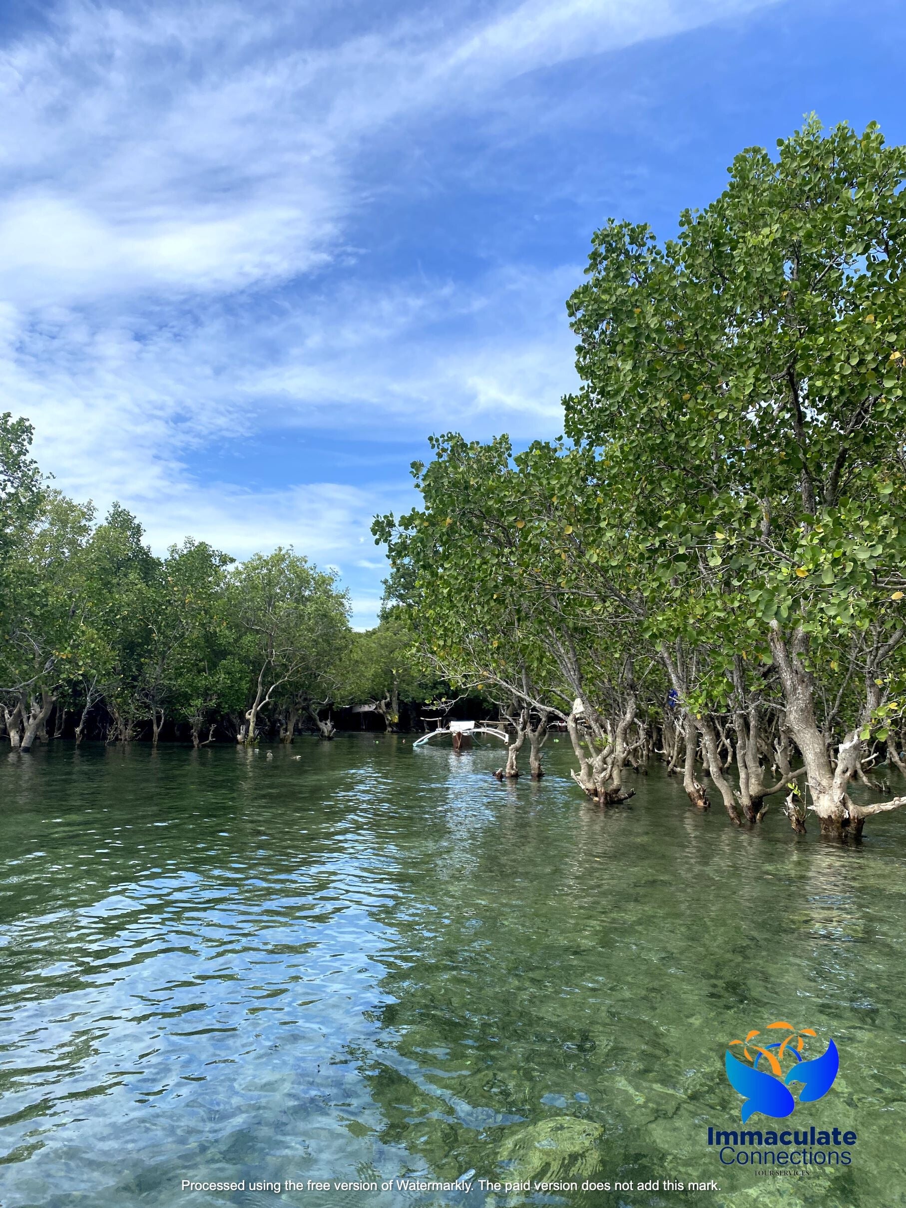 Tudela Cebu Private Day Tour with Lunch| Busay Falls, Bukilat Cave, Katunggan Nature Trip