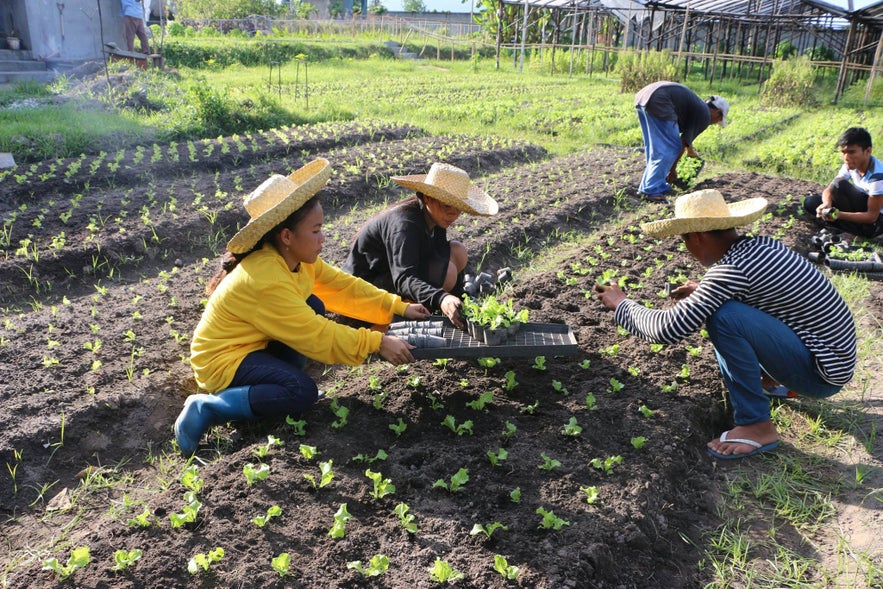 Felicidad Orchard & Garden Organics Felicidad Orchard & Garden Organics
