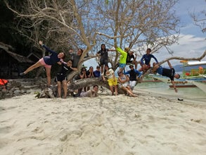 Island Hopping & Starfish Snorkeling Tour in San Vicente Town on Palawan Island