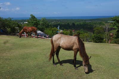 Magellan's Cross is one of the most popular attractions in the Philippines which can be found in Cebu