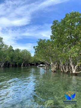2-Day Cebu Nature Tour Package to Tudela Island with Accommodations, Meals, Boat & Land Transfers