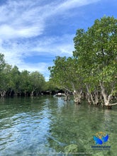 2-Day Cebu Nature Tour Package to Tudela Island with Accommodations, Meals, Boat & Land Transfers