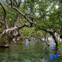 2-Day Cebu Nature Tour Package to Tudela Island with Accommodations, Meals, Boat & Land Transfers - day 1