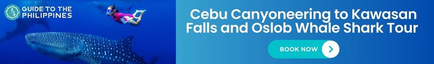 Cebu Canyoneering to Kawasan Falls, Oslob Whale Shark Tour & Tumalog Falls | Meals & Hotel Transfers Cebu Canyoneering to Kawasan Falls, Oslob Whale Shark Tour & Tumalog Falls | Meals & Hotel Transfers