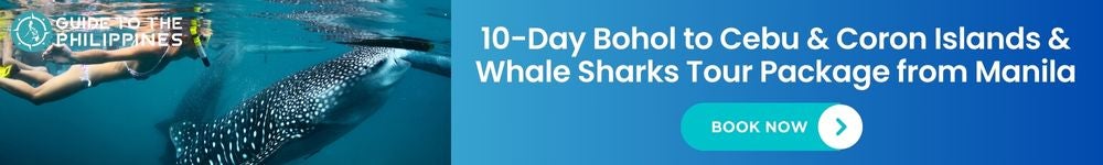 菲律宾薄荷岛旅游指南：游玩 + 酒店