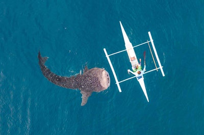 Fun 11-Day Islands Adventure Tour Package to Cebu, Siargao, Siquijor & Dumaguete City from Manila - day 5