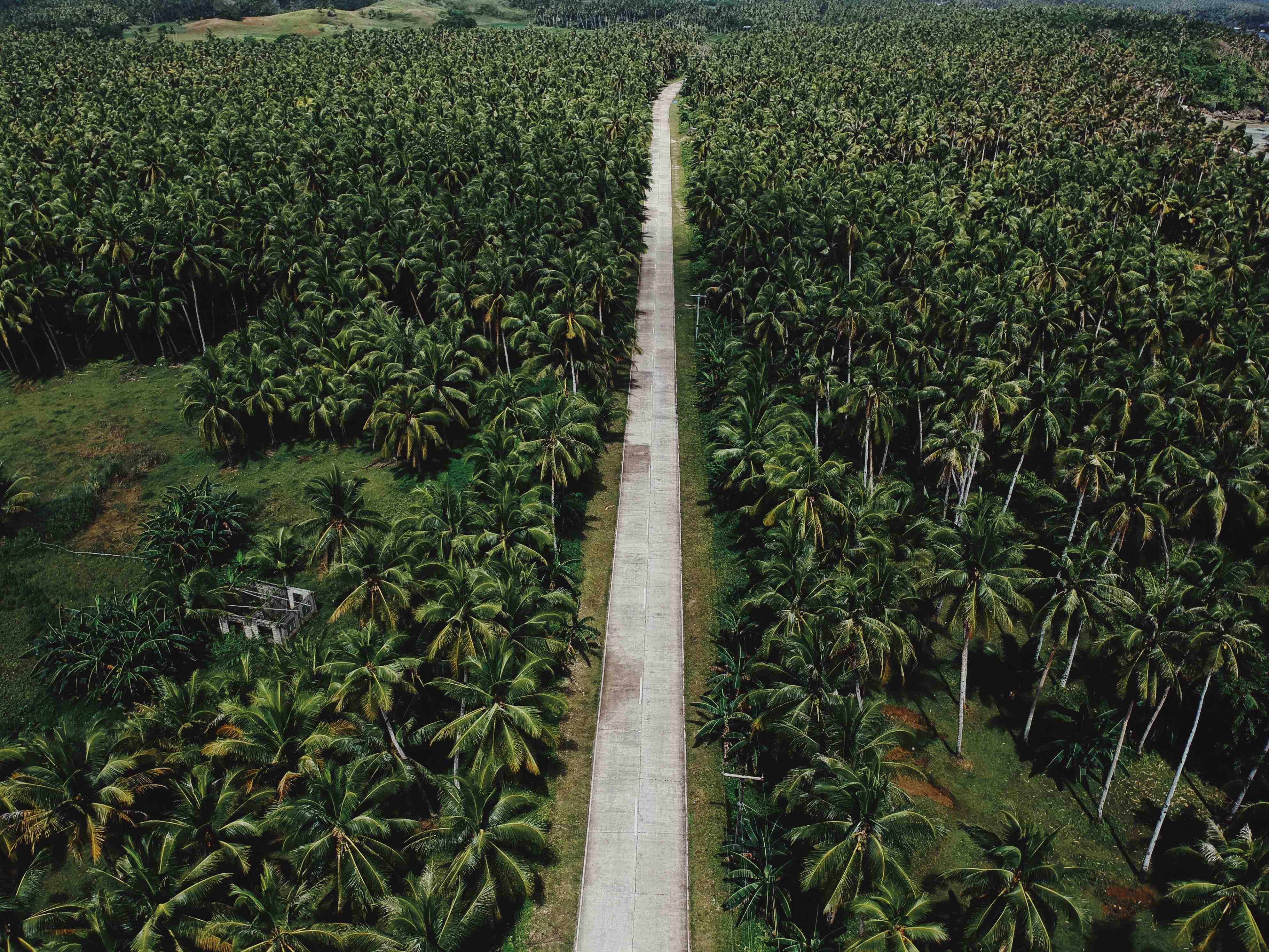 Fun 11-Day Islands Adventure Tour Package to Cebu, Siargao, Siquijor & Dumaguete City from Manila - day 7