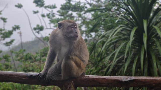 Tawi-Tawi Bongao Land Tour with Transfers | Bud Bongao, Boloboc Cave, Badjao Village
