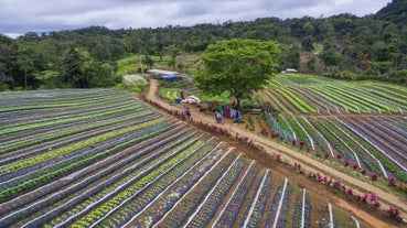 Davao Buda Marilog Tour with Transfers | Sonnen Berg Mountain View, Bemwa Farm, Eagle Monument