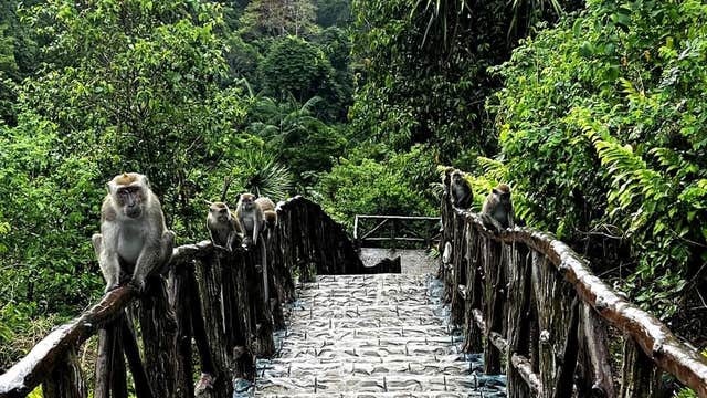 Incredible 3-Day Tawi-Tawi Island Nature & Culture Tour Package with Accommodation