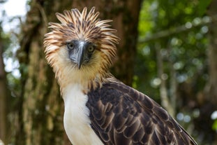 Shared Davao City Tour A with Transfers | Philippine Eagle Center, People's Park, Japanese Tunnel