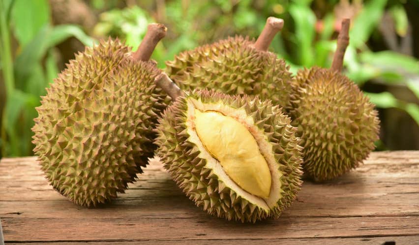 On this Davao City tour, you can sample the durian, a must-try fruit in the region