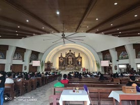 Private Davao City Culture & History Tour D with Transfers | Crocodile Park, Japanese Tunnel & More