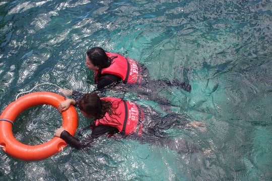 Private Samal Island Hopping Tour in Davao del Norte Province