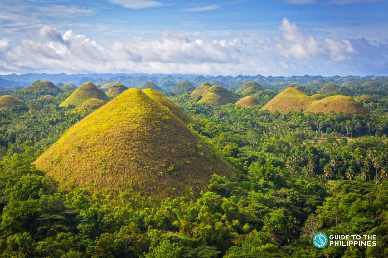 Chocolate Hills in Bohol Island