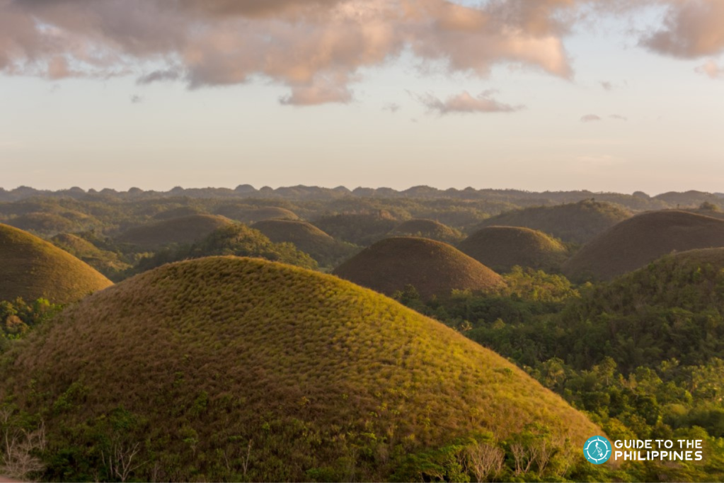 Chocolate Hills in Bohol