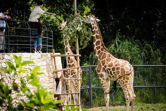 Fun 10-Day Boracay & Cebu Islands with Quezon Province Beaches & Nature Tour Package from Manila