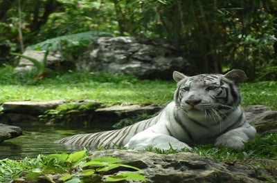 Fun 10-Day Boracay & Cebu Islands with Quezon Province Beaches & Nature Tour Package from Manila - day 3