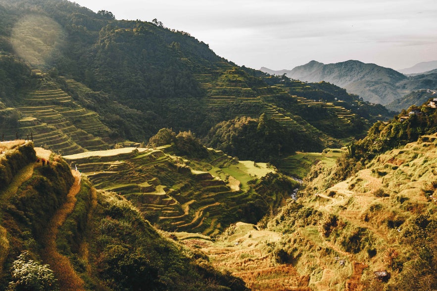 Rice terraces in Sagada Rice terraces in Sagada