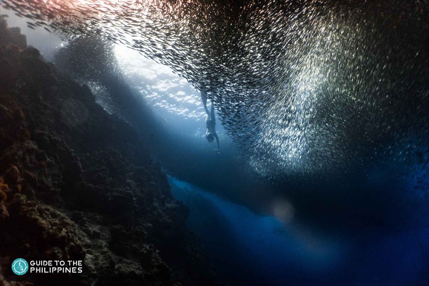 Cebu Moalboal Cebu Moalboal