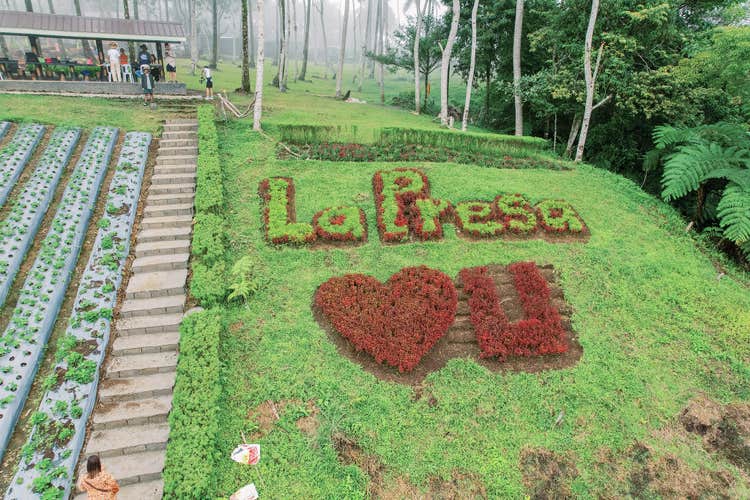 Zamboanga del Norte Farm Tour with Lunch & Transfers from Dipolog | CEOFI, Nelsa's, Demo Farm