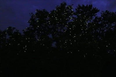 Epic 16-Day Beaches, Adventure & Cultural Tour Package from Manila City - day 13