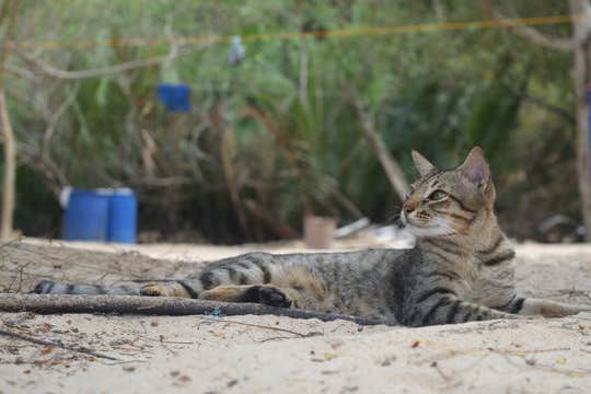 Private Palawan Island Hopping Tour to Linapacan & Culion From Coron to El Nido Town with Lunch