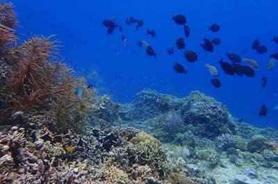 Educational 3-Day Palawan Island Camping Package with Accommodation and Course Certificate - day 1