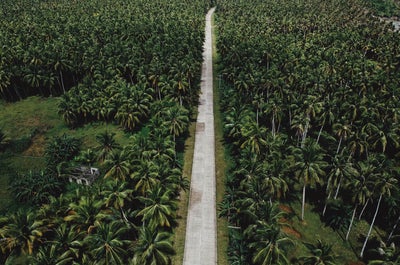 10-Day Bohol, Cebu & Siargao Islands Breathtaking Beaches and Nature Tour Package from Manila City - day 7