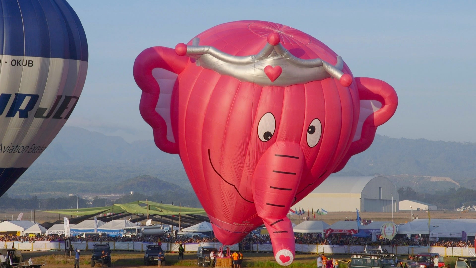 Nelly the Pink Elephant at PIHABF