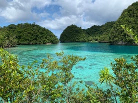 This Sohoton Cove tour allows you to explore the hidden caves and marvel at the unique rock formations and tranquil surroundings.