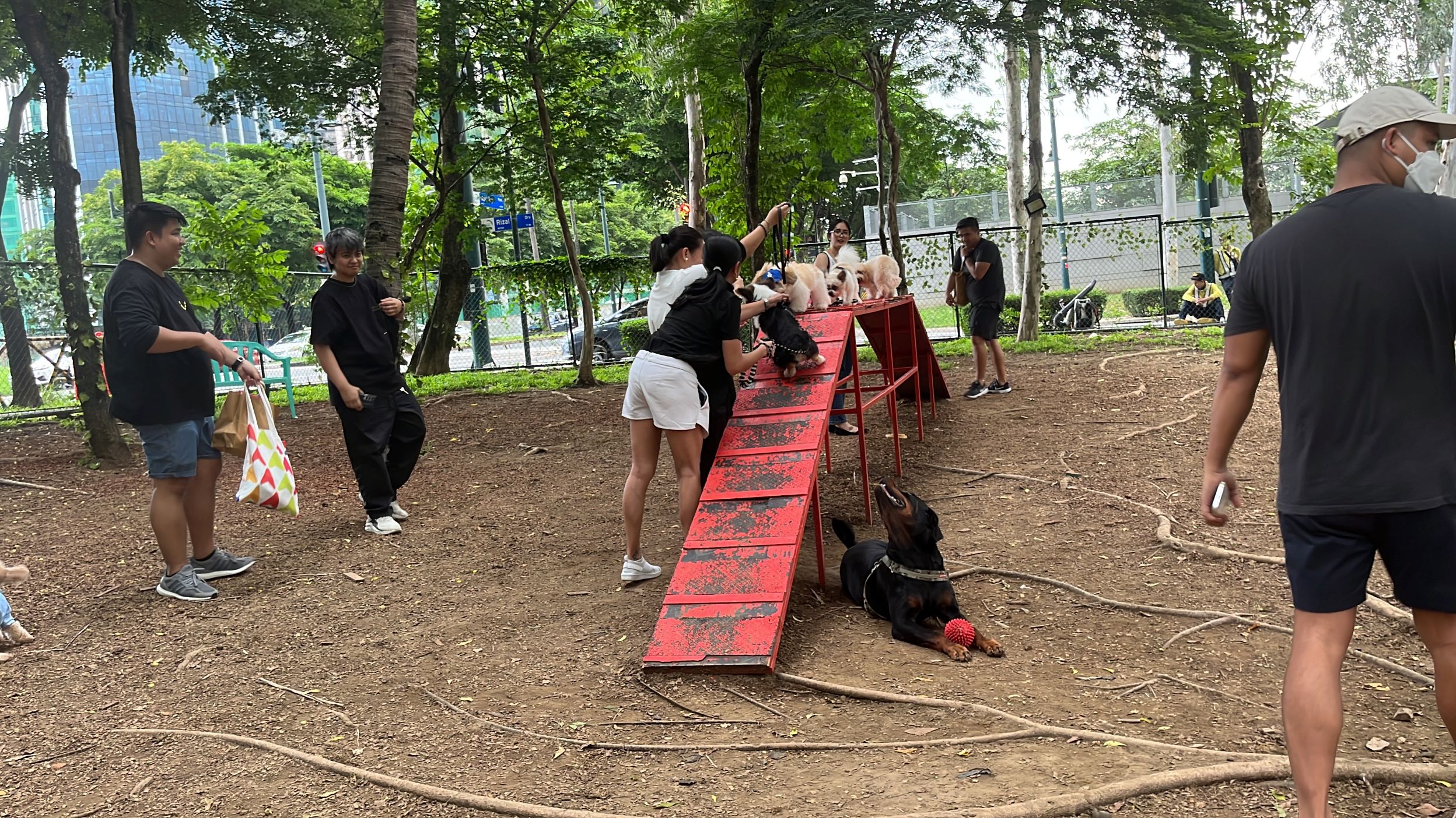 Basic Dog Tricks & Training Lessons & Walking Tour at BGC | 2 Hours & 30 Minutes