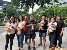 Basic Dog Tricks & Training Lessons & Walking Tour at BGC | 2 Hours & 30 Minutes