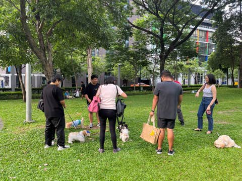 Basic Dog Tricks & Training Lessons & Walking Tour at BGC | 2 Hours & 30 Minutes