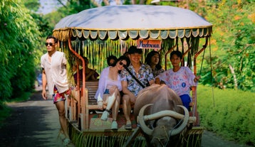 Tourists enjoying a traditional carabao ride during a day tour at Villa Escudero Plantations & Resort.