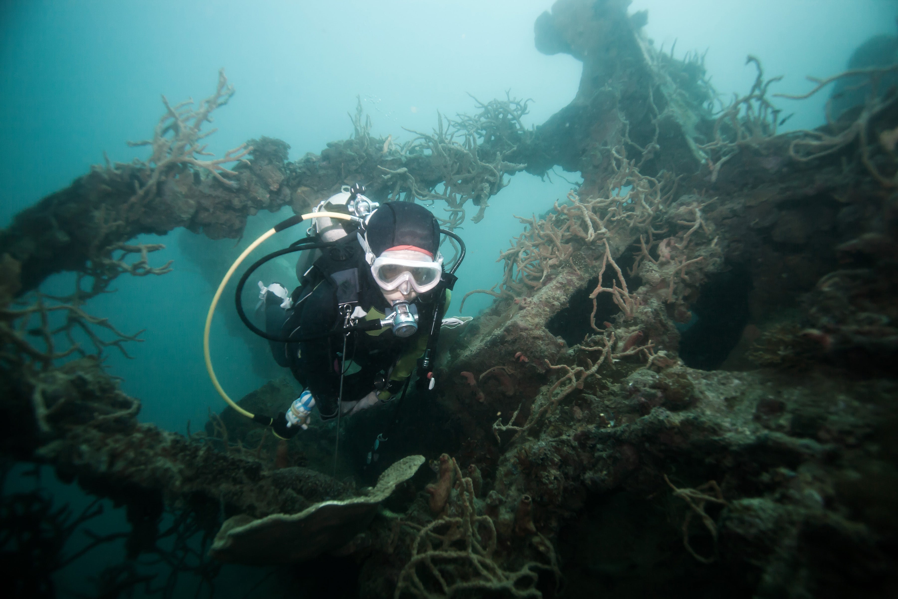 12-Day Cebu-El Nido-Coron Philippines Diving Tour Package from Manila with Flights & Hotels